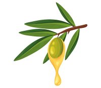 olive oil